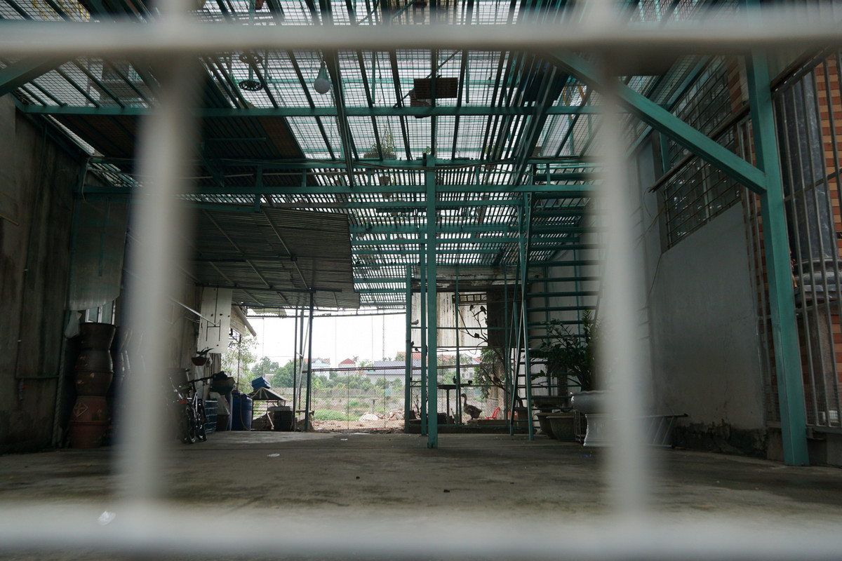 Nguoi than noi ve chu vuon lan bi to om 200 ty bo tron-Hinh-2