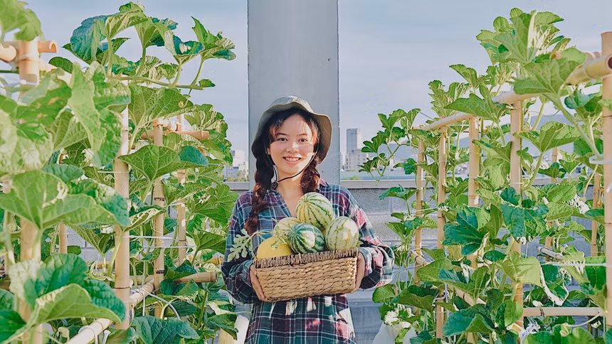 Khu vuon xanh ngat, cung cap rau cu cho ngay dich