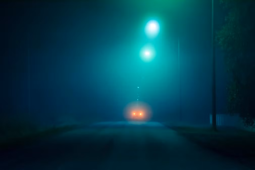 Câu chuyện đó được kể nhiều khi Lax còn nhỏ. Nó đã nuôi dưỡng tâm hồn nghệ thuật của cô, khiến nữ nghệ sĩ khao khát tìm kiếm câu trả lời. Cô đã dành nhiều năm để tìm kiếm những luồng sáng bí ẩn và ghi lại nó trong cuốn sách ảnh Some Kind of Heaven Fire (tạm dịch: Những đốm lửa từ thiên đường).