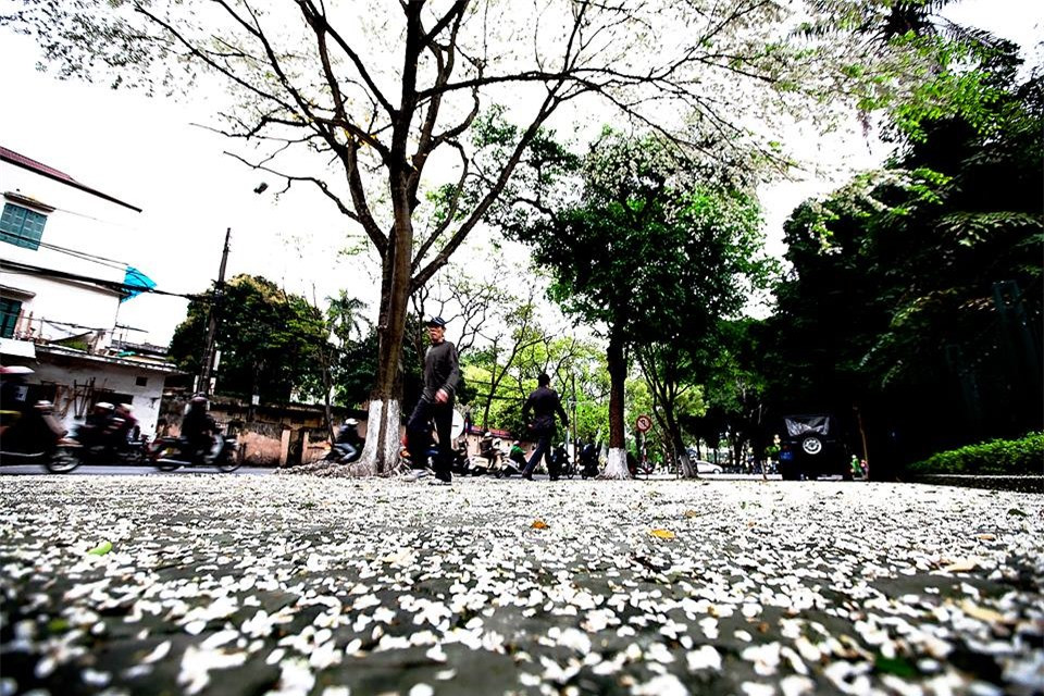 ...gợi cảm giác xốn xang lạ thường trong lòng người qua phố.