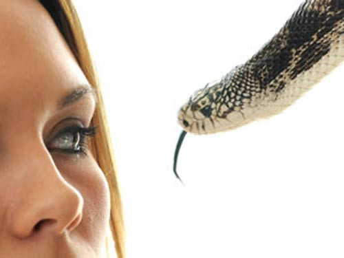 Phụ nữ mang thai mơ bị rắn cắn: Rất có thể, đây là điềm báo bạn sẽ sinh bé trai. Nếu con rắn trong giấc mơ có thân hình mập mạp và động thái chậm chạp, vụng về, chứng tỏ con bạn sinh ra sẽ rất thông minh.