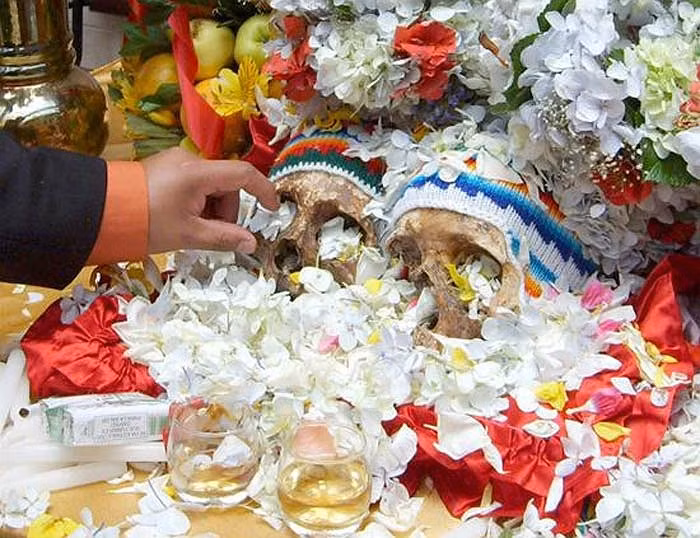 Họ thi nhau trang trí chiếc đầu lâu của mình với hoa, nến và vải lụa, sao cho trông chúng thật bắt mắt.