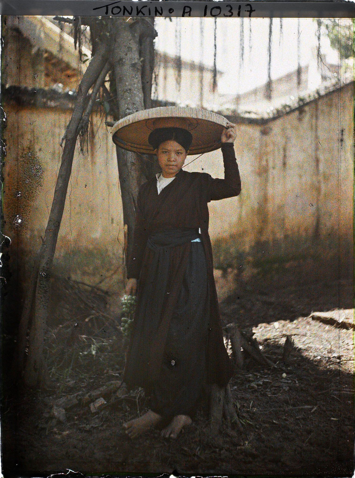 Tạo dáng bên cây si.