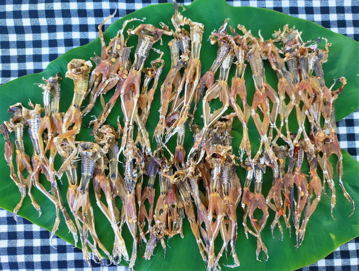 Tại nhiều địa phương ở Việt Nam, nhái/ngóe được săn bắt để làm thực phẩm. Chúng có thể được chế biến thành nhiều món hấp dẫn như chả nhái, canh thịt nhái, nhái ôm măng, khô nhái... Ảnh: Hòa hội Đặc sản miền Tây.