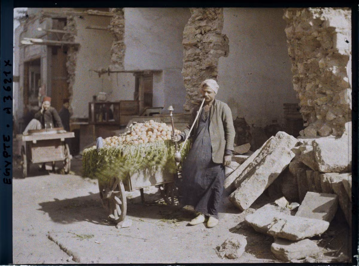 Người bán cam hút shisha.