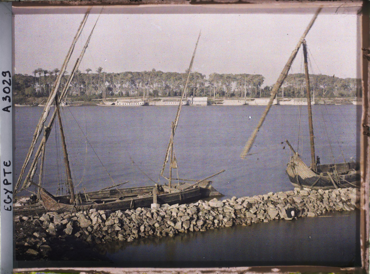 Những con thuyền felucca bên bờ sông Nil.