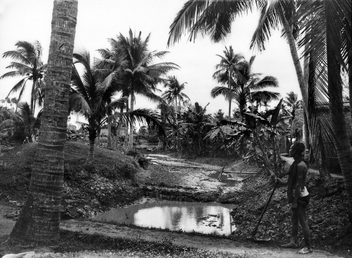 Một nam giới cầm cuốc đứng trên đường làng.