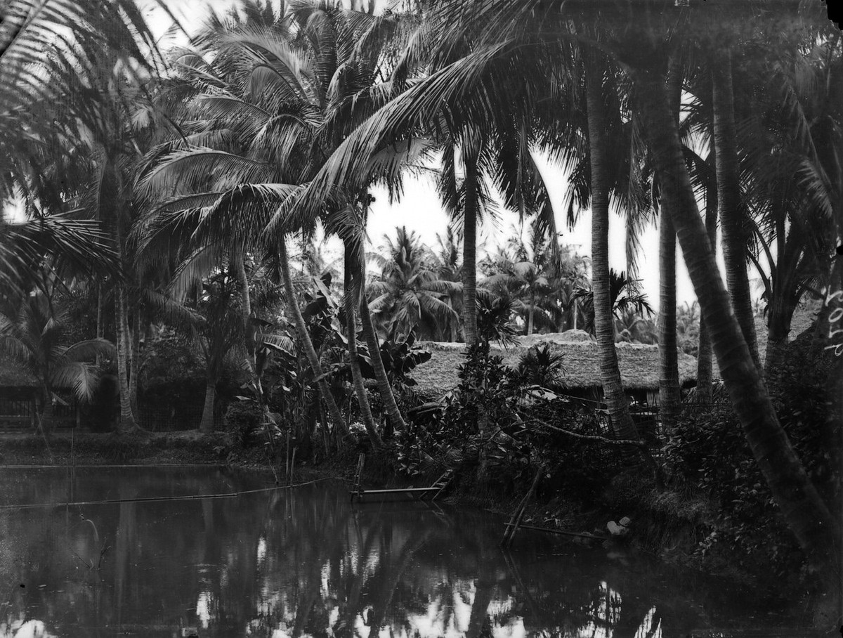 Một góc làng dừa.