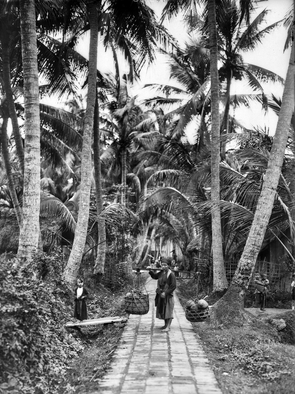 Người phụ nữ gánh dừa trên đường làng Dương Liễu.