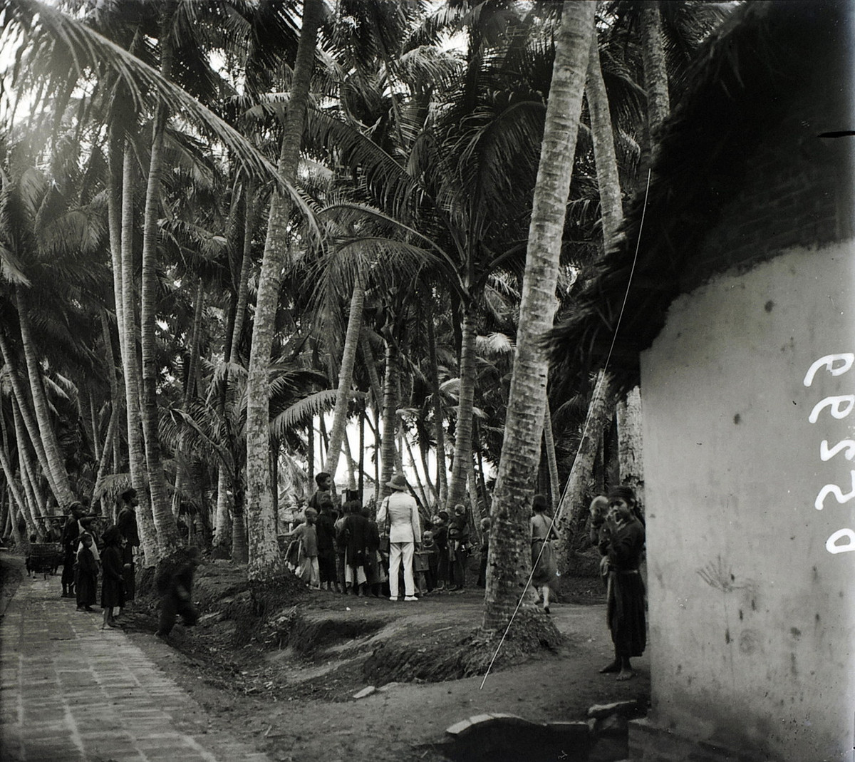 Người dân tụ tập quanh những người Pháp tham quan vườn dừa.