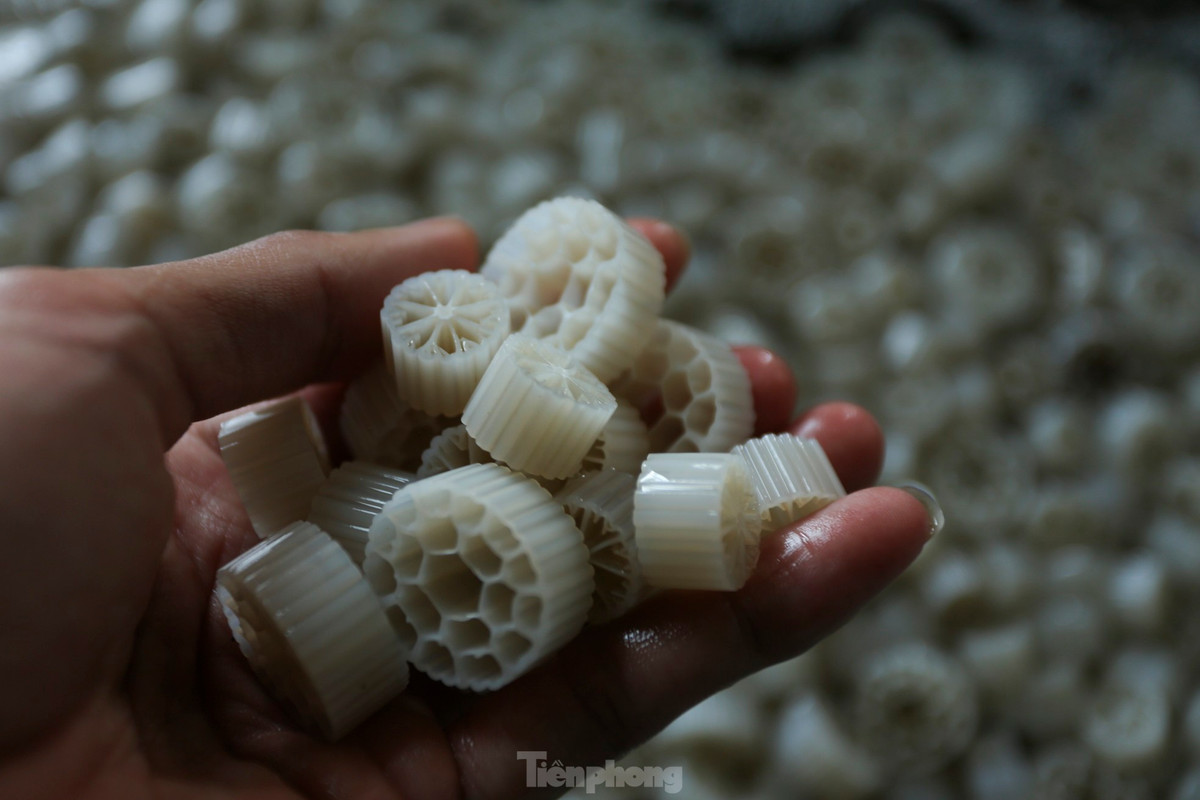 Để nuôi cua tiết kiệm nước và không gian, anh dùng các hộp nhựa xếp thành giàn; sử dụng hạt nhựa kaldnes trong hệ thống tuần hoàn. Các hạt nhựa có vai trò như san hô để lọc thức ăn thừa và chất thải giúp môi trường sống của cua được sạch hơn.