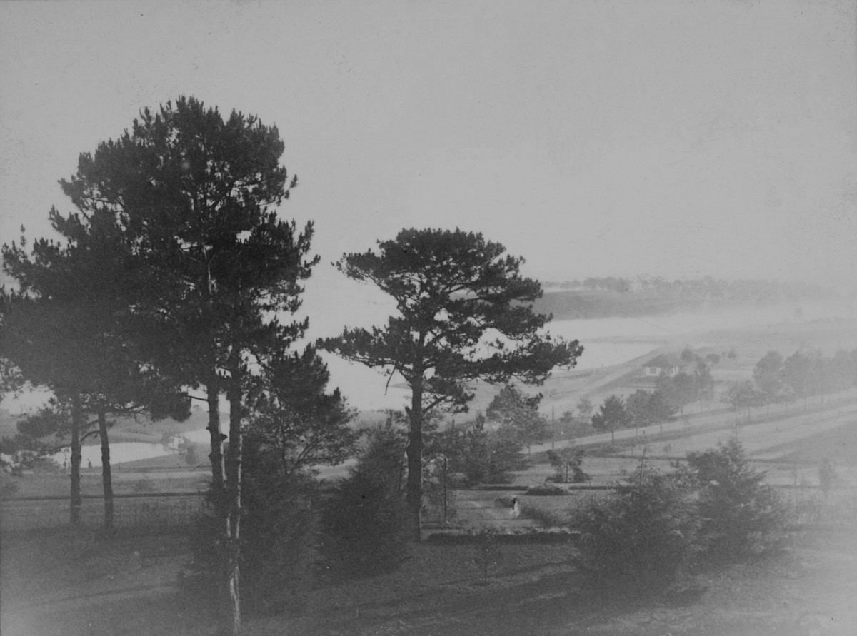 Phong cảnh Đà Lạt.