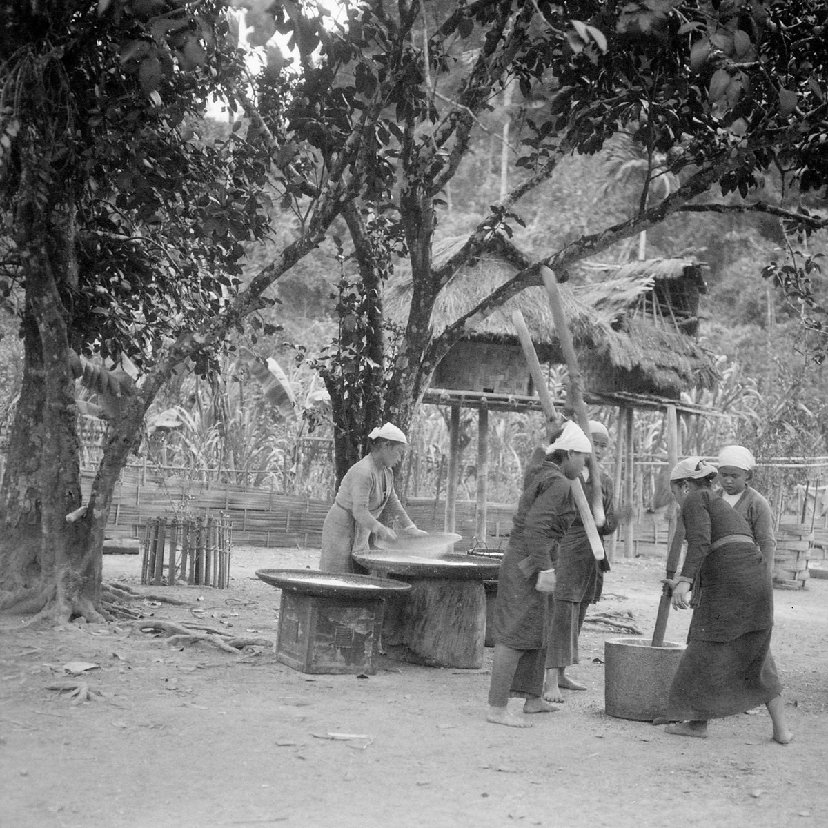 Đồng bào Mường giã và sàng gạo ở Quy Mỹ, Hòa Bình.