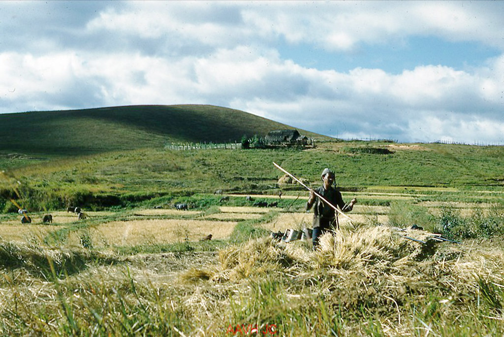 Một nam giới làm việc trên cánh đồng.