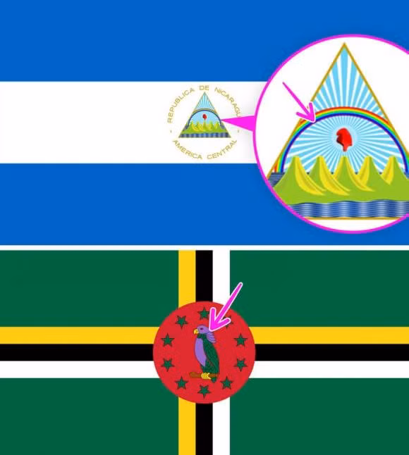 Tai sao co qua it co mau tim?-Hinh-2