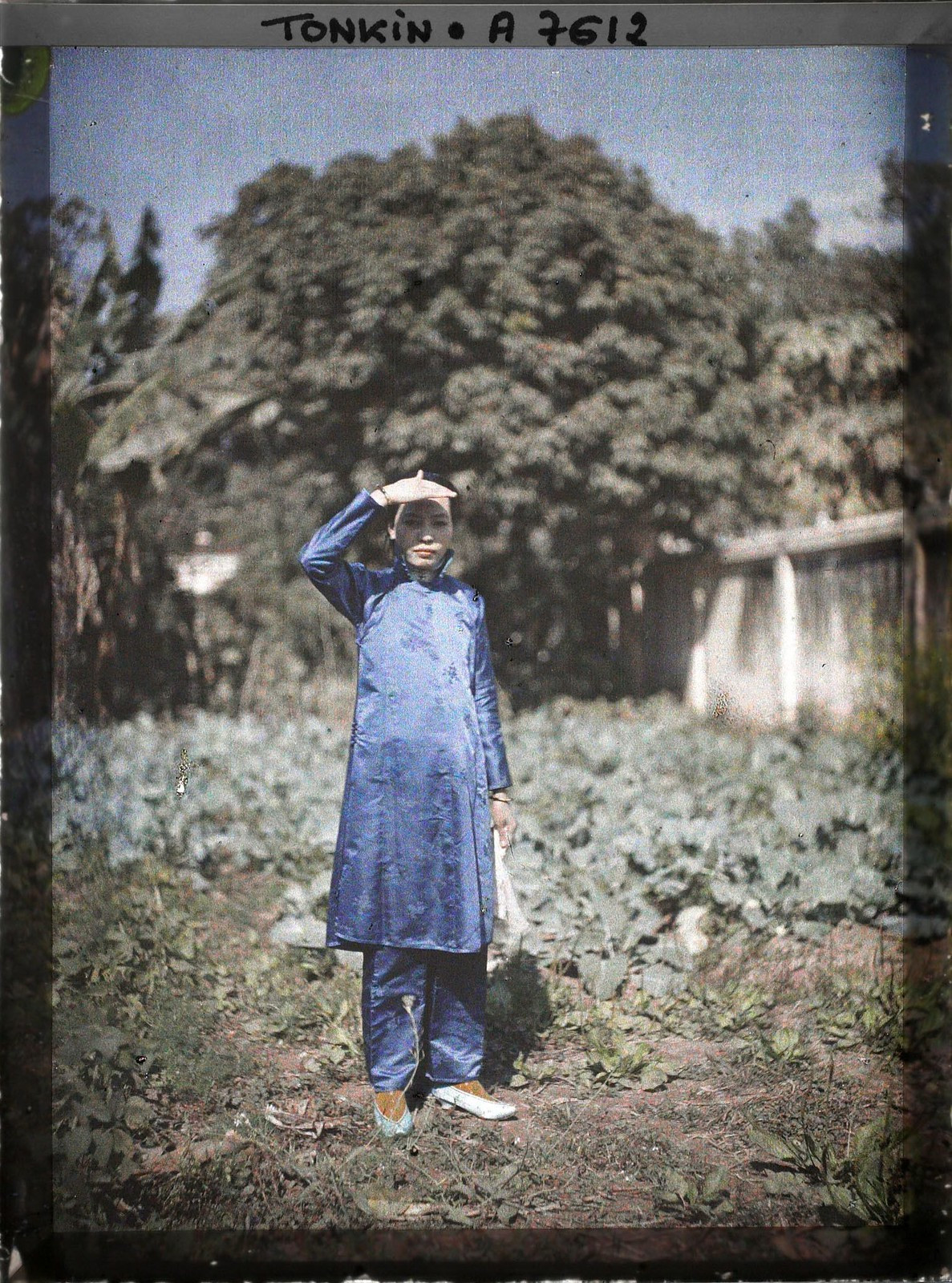 Cô gái mang hai dòng máu Việt - Hoa đứng trong một khu vườn ở Hà Nội.