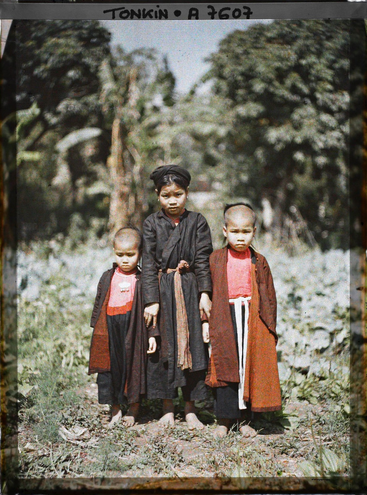 Một số hình ảnh khác.