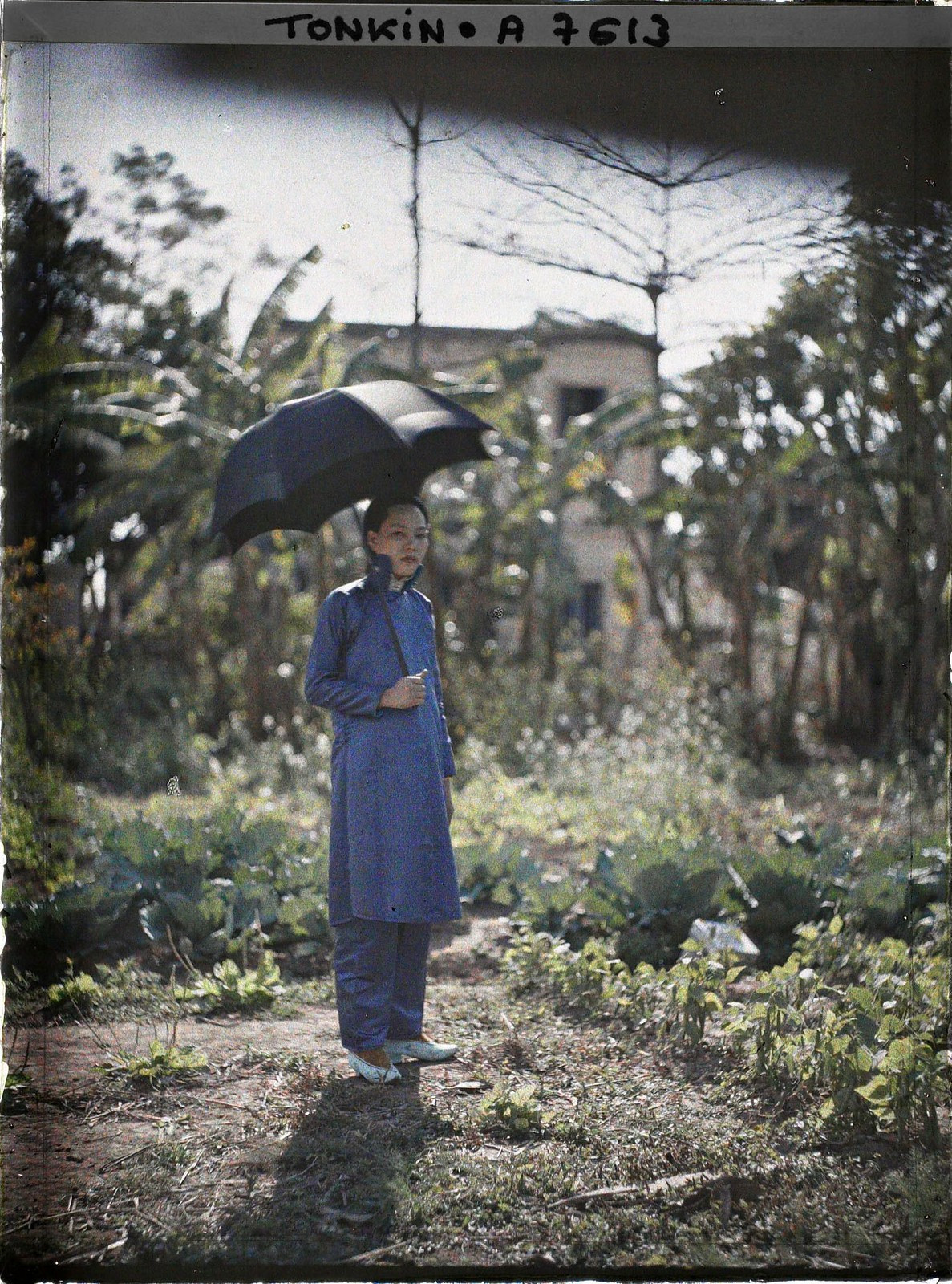 Người đẹp gốc Hoa cầm chiếc ô màu đen.