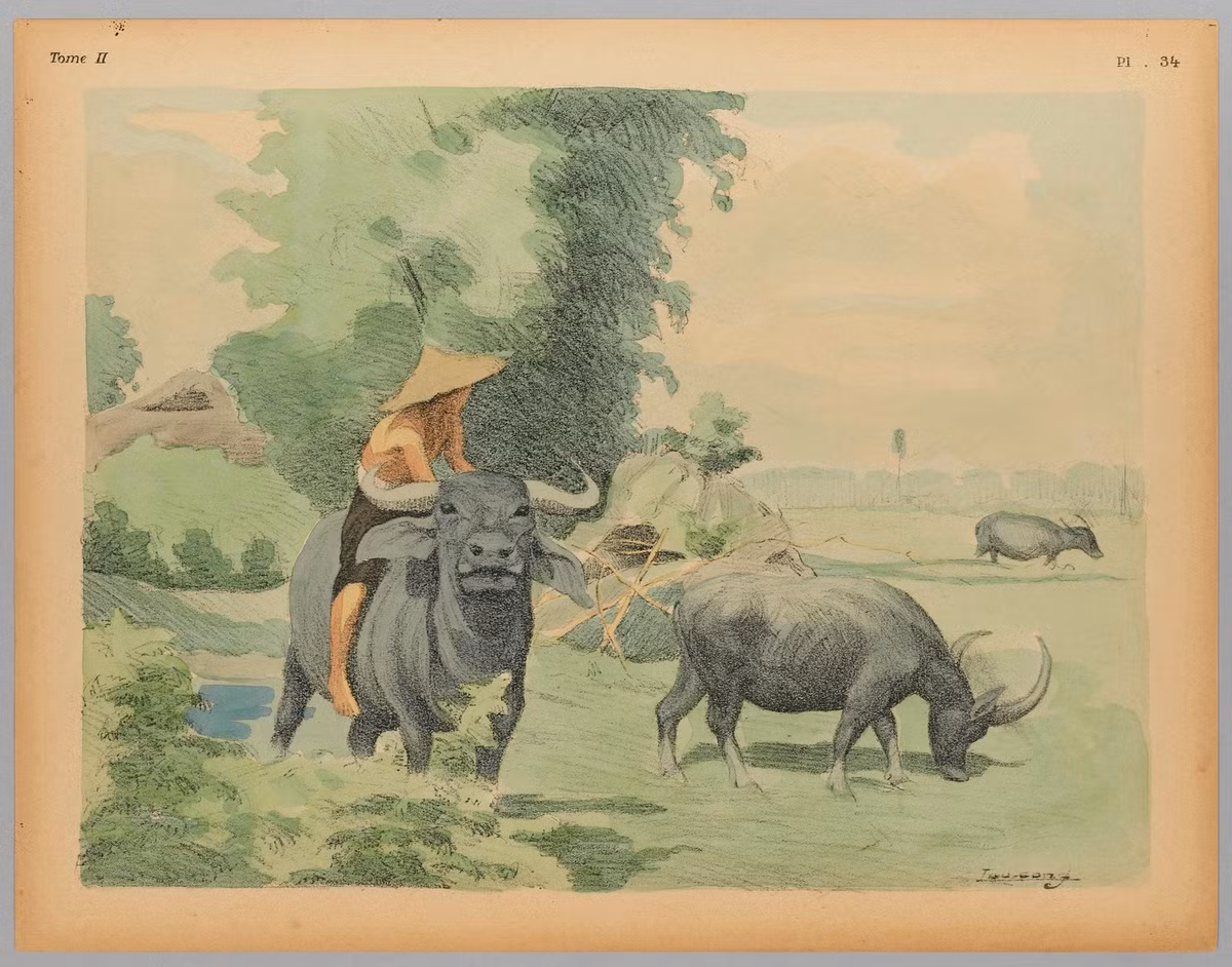 Thiếu niên chăn trâu.