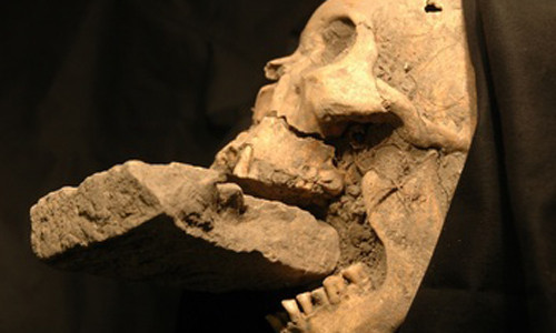 Một trong những bộ xương với hòn đá hoặc gạch đặt trong miệng bị cho là ma cà rồng