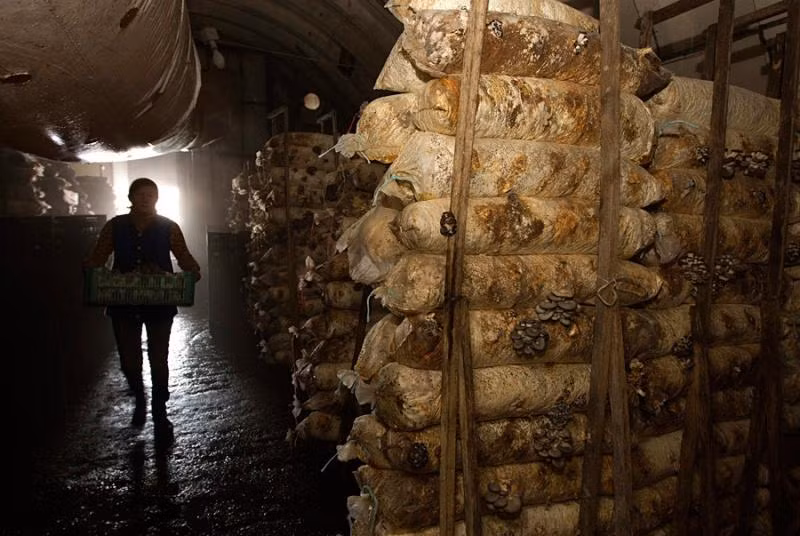 Các chuyên gia cho biết lượng bức xạ ở đây còn thấp hơn cả ở các khu vực dân cư gần nhất.