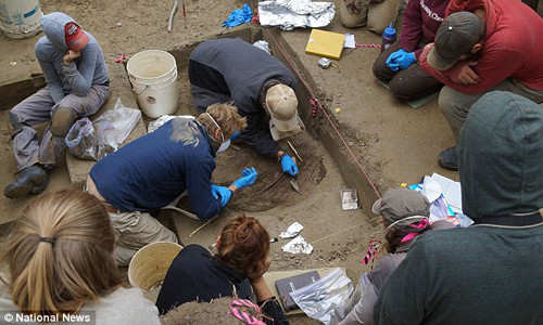 Giới chuyên gia cẩn thận khai quật 3 bộ hài cốt trẻ sơ sinh ở Alaska.