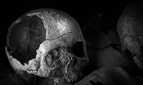 Cũng tại nơi đây, một số thi thể binh sĩ tử trận được chôn cất bên dưới chiến trường ác liệt.