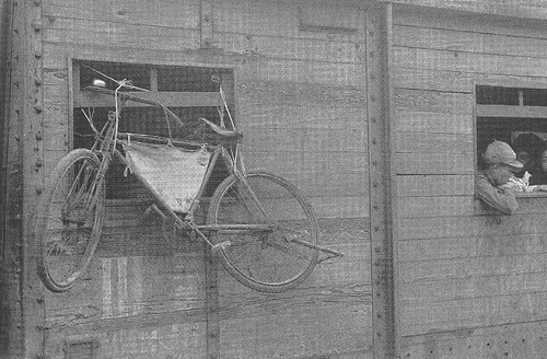 Xe đạp được buộc chắc chắn vào tàu trong chuyến hành trình tới Hàng Châu.