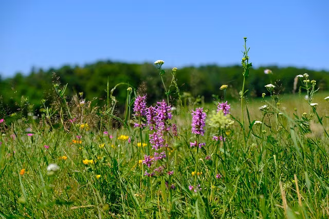 Sau 30 tuoi, dat troi rong mo, 4 con giap gap toan may man, su nghiep hanh thong-Hinh-2