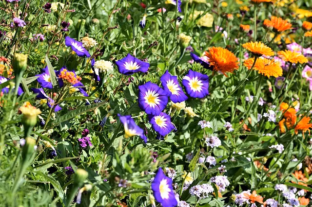 Sau 30 tuoi, dat troi rong mo, 4 con giap gap toan may man, su nghiep hanh thong-Hinh-3