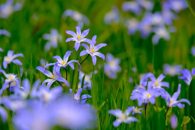 Sau 30 tuoi, dat troi rong mo, 4 con giap gap toan may man, su nghiep hanh thong