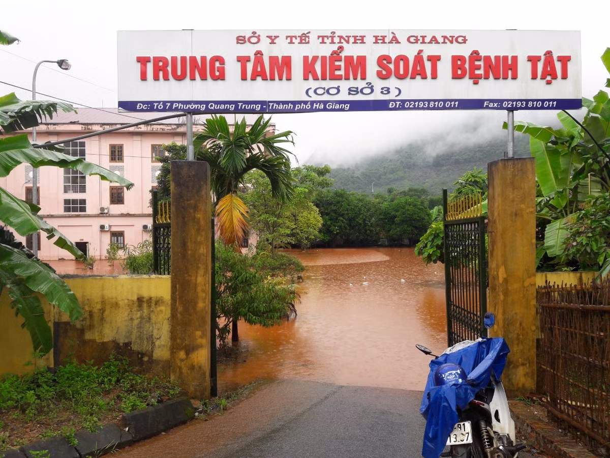 Ha Giang mua kit test COVID-19 Viet A gia hon 500.000 dong