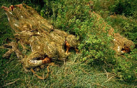 Chiến sĩ đặc công mặc "áo giáp" cỏ đột nhập mục tiêu trong huấn luyện.