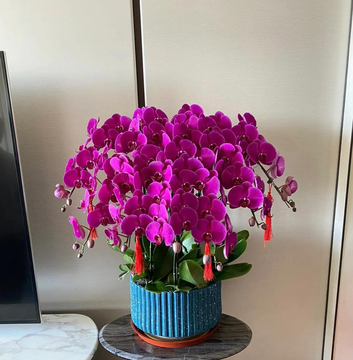  Cây cảnh này hấp thụ carbon dioxide và giải phóng oxy trong lành vào ban đêm, có lợi cho giấc ngủ của chủ nhân. Lan hồ điệp tượng trưng cho sự sung túc, đầy đủ, con cháu trong gia đình nên càng được nhiều người ưa thích. Có hoa lan trong nhà sẽ làm tăng mức độ hạnh phúc và thúc đẩy các mối quan hệ trong gia đình thêm bền chặt.