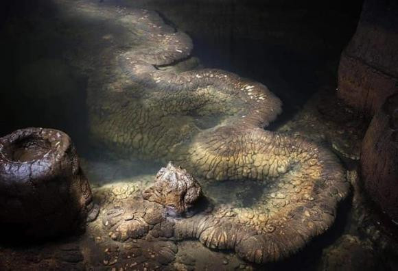 Nhóm chuyên gia đã lần theo lộ trình của dân làng và tìm ra lối vào hang động nơi được cho là có con rồng huyền thoại tồn tại. Gần lối vào hang động, nhóm chuyên gia đã nhìn thấy hào quang rồng huyền thoại đọng lại ở lối vào. Khi các chuyên gia khám phá sâu hơn, người ta thực sự đã tìm thấy dấu vết của con rồng trong nước của hang động. Nhưng con rồng này không phải là rồng thật mà là rồng đá.