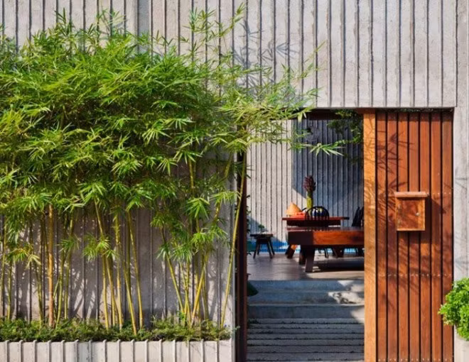 Người trồng tre cảnh trong nhà về cơ bản là giàu có và quyền quý, đặc biệt là những người nuôi tre bonsai. Họ không chỉ giàu có, có khiếu thẩm mỹ mà còn nhiều thời gian để chăm sóc tre. Ảnh minh họa Toutiao