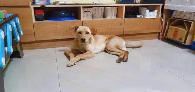 Theo người xưa, có rất nhiều dấu hiệu cho thấy ngôi nhà của bạn sẽ có phong thủy tốt. Bởi vì những điềm báo này là biểu tượng cho sự cát tường của gia đình và có thể thu hút may mắn. Do đó, nếu ngôi nhà của bạn không có những dấu hiệu này thì bạn nên cân nhắc thay đổi lối sống hoặc chuyển nhà. (*Thông tin mang tính tham khảo, chiêm nghiệm).