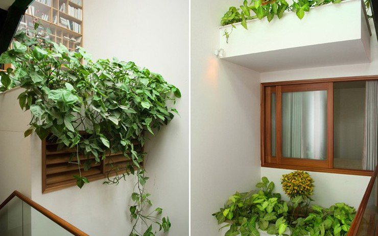  Nếu ngôi nhà có ít hoặc cửa sổ nhỏ dễ khiến người ta cảm thấy u uất, nặng nề. Cảm giác nặng nề này sẽ dẫn đến việc lưu thông không khí trong nhà kém và khiến mọi người cảm thấy ngột ngạt.