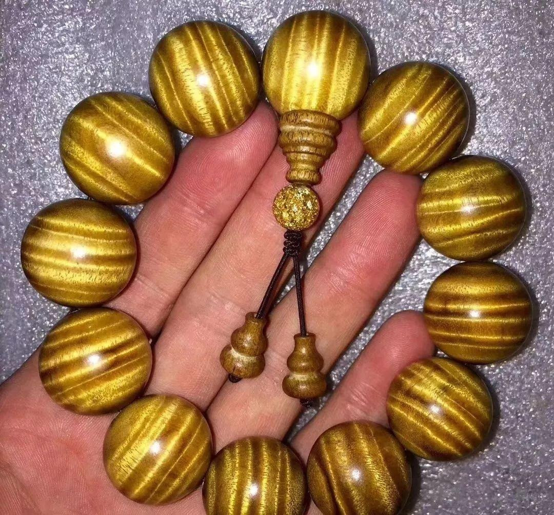 3 cây trước cửa tài lộc, 3 âm trong nhà con cháu hiền tài - Hình 6 3 cay truoc cua tai loc, 3 am trong nha con chau hien tai-Hinh-6