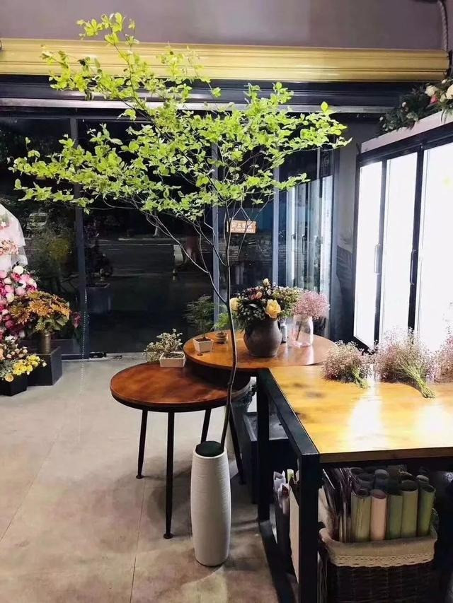 Thạch nam chuyển tải rất nhiều ý nghĩa tốt đẹp về cuộc sống. 1. Thu hút tài lộc: Trong phong thủy, cây thạch nam tượng trưng cho sự giàu có và thịnh vượng. Do đó, nó thường được trồng hoặc đặt trong những nơi cần thu hút tài lộc và may mắn. 