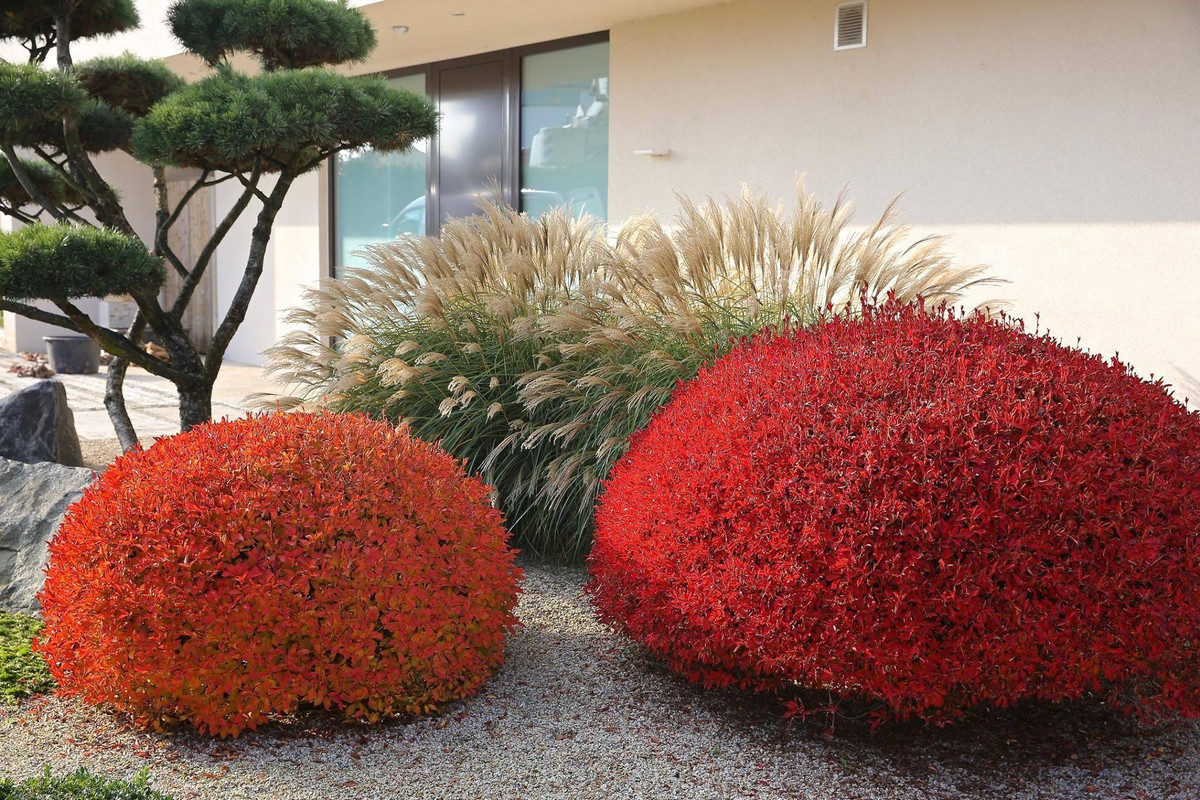  3. Tạo nên sự hòa hợp: Cây thạch nam còn mang đến sự hòa hợp và bình yên cho gia đình. Đặc biệt, loại cây này thích hợp đặt ở phòng khách hoặc phòng làm việc để tạo sự thân thiện và hợp tác.