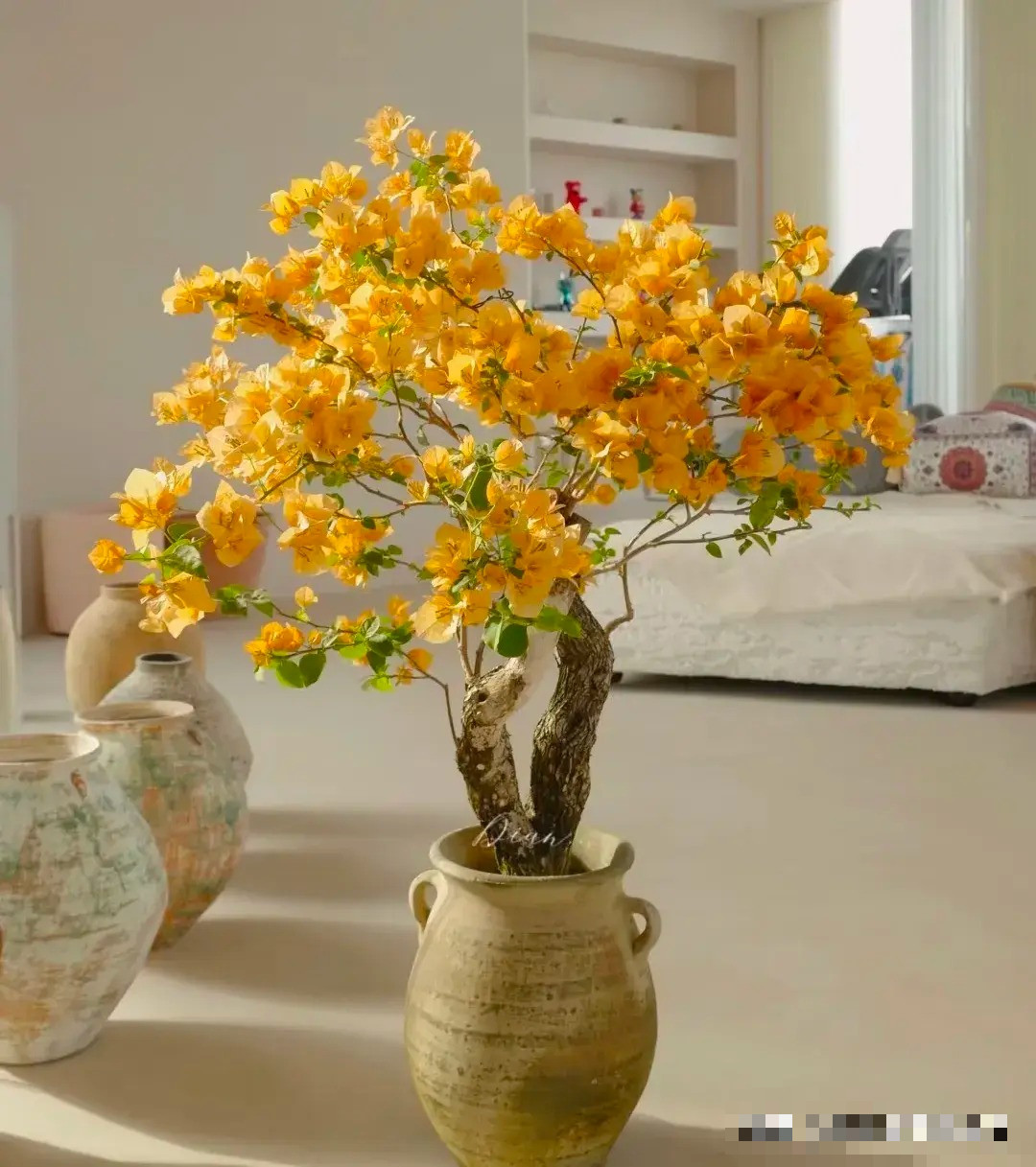  Cây hoa giấy là cây thân leo với cành lá sum suê nên theo người xưa, loài cây này tượng trưng có sự che chở, đủ đầy và hạnh phúc trọn vẹn, ngăn chặn tà khí, giúp gia đình bình an, hạnh phúc. Màu sắc hoa tươi sáng tượng trưng cho may mắn, phát tài, phát lộc. Ảnh minh họa Toutiao