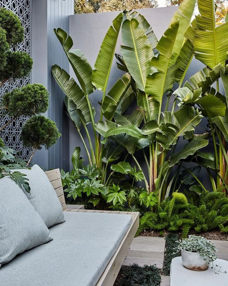  4. Người xưa dặn: Thiên điểu vào nhà - mang lại hạnh phúc, điềm lành. Lá cây của thiên điểu to và mập, là một trong những chiếc lá lớn có ý nghĩa phong thủy tốt lành. Theo người xưa, những chiếc lá to này mang ý nghĩa tốt lành, hút tài, chiêu lộc, gia đình thịnh vượng. Ảnh minh họa pinterst 