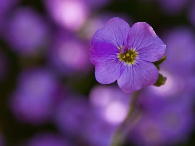 Ai sinh ngày Âm lịch này, tháng 11 tiền của về tay - Hình 3 Ai sinh ngay Am lich nay, thang 11 tien cua ve tay-Hinh-3