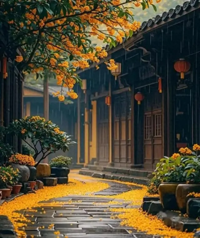  Trước thềm kỳ thi tuyển sinh đại học, bạn có thể tặng cành mộc hương cho các học sinh dự thi đại học với ý nghĩa chúc các em lập tức thành công và đạt kết quả tốt. Mộc hương cũng có thể trồng trong chậu, đặt cạnh bàn làm việc với hy vọng mọi việc sẽ suôn sẻ trong công việc.Ảnh minh họa Toutiao 