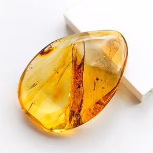 Một trong những đặc điểm nổi bật của hổ phách là khả năng bảo tồn các mẫu vật sinh học bên trong. Các mảnh hổ phách thường chứa các loài côn trùng, thực vật hoặc thậm chí là động vật nhỏ bị mắc kẹt trong nhựa cây hàng triệu năm trước. Điều này cung cấp cho các nhà khoa học những thông tin quý giá về hệ sinh thái và môi trường sống của Trái Đất trong quá khứ.(Ảnh:Etsy)