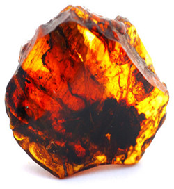 Hổ phách thường có màu vàng, cam hoặc nâu đất, nhưng cũng có những viên hổ phách màu xanh lam hiếm gặp.(Ảnh:Vancouver Island Homeopathy)