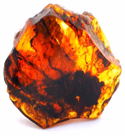 Hổ phách thường có màu vàng, cam hoặc nâu đất, nhưng cũng có những viên hổ phách màu xanh lam hiếm gặp.(Ảnh:Vancouver Island Homeopathy)