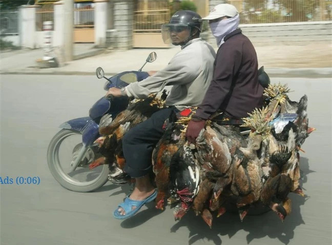 Tới Hà Nội vào tháng 12/2004, anh tới thăm lăng Chủ tịch Hồ Chí Minh sau đó tới bảo tàng quân đội và không quân ở Hà Nội, cuối cùng anh đi tới Hỏa Lò nằm tại con phố cùng tên. So với thời điểm 20 năm trước, hiện tại nhà tù Hỏa Lò vẫn tiếp tục là điểm đến "ghi điểm" trong lòng khách du lịch trong và ngoài nước.