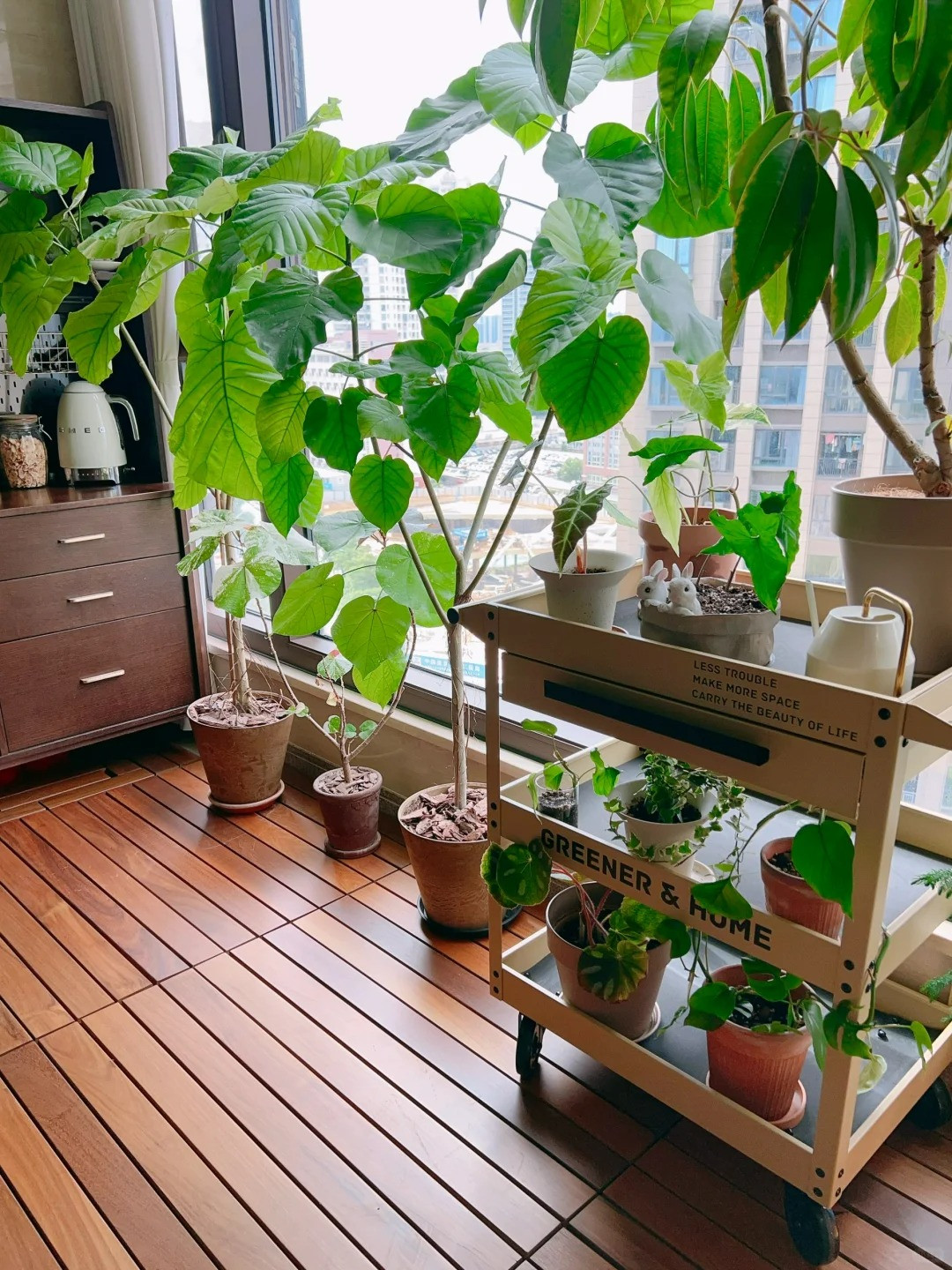 Như vậy cây cảnh Ficus Umbellata không chỉ đẹp, có giá trị trang trí cao, có khả năng thanh tượng trưng cho sức mạnh của tình yêu, sự hòa hợp và thịnh vượng cũng như hy vọng và mong muốn về cuộc sống tốt đẹp, tràn đầy tình yêu thương.